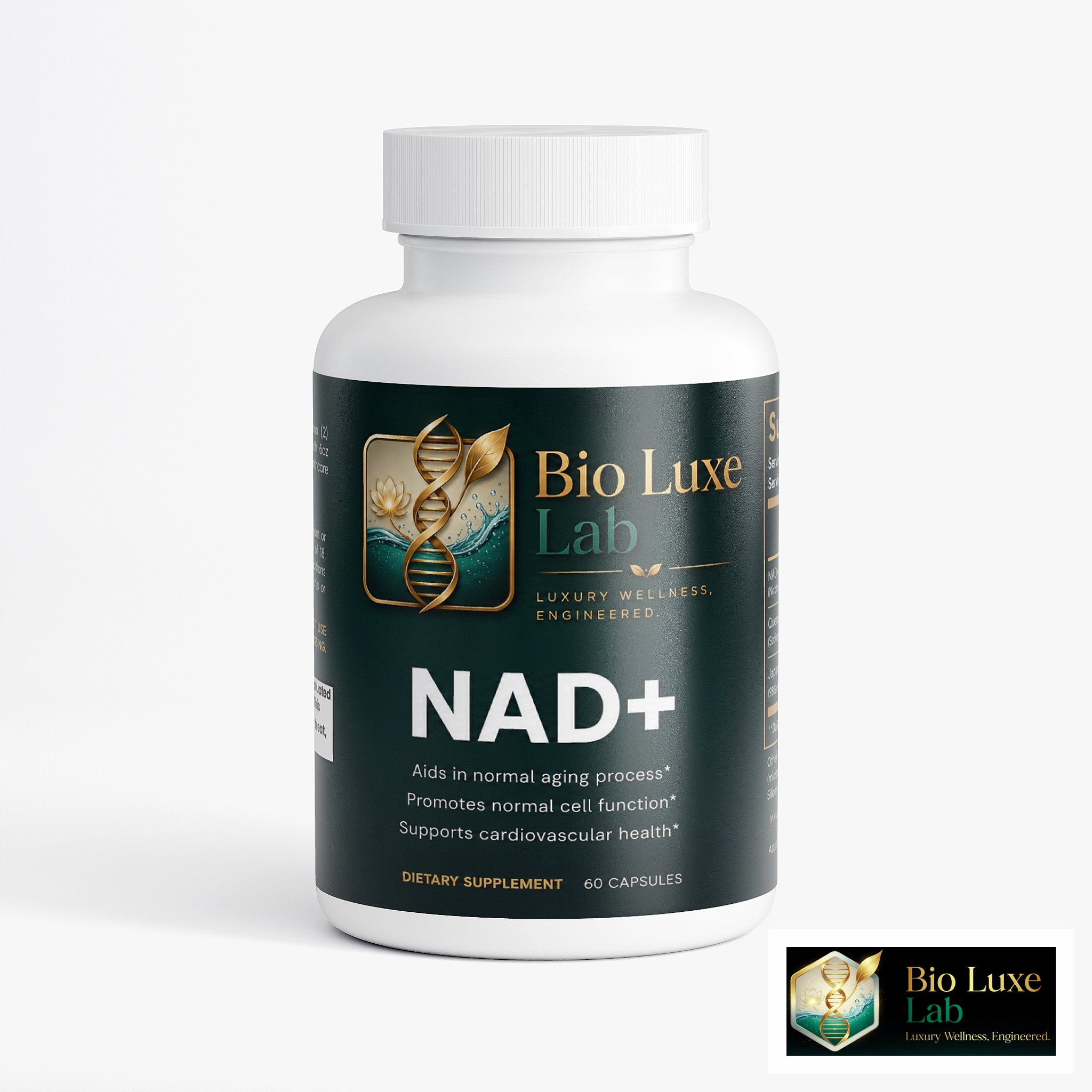 Inside NAD+: The Cellular Energy Coenzyme Your Body Craves