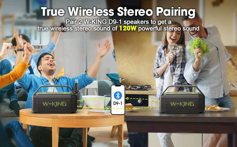 W-KING D9-1 Premium Portable Bluetooth Speaker System 100W